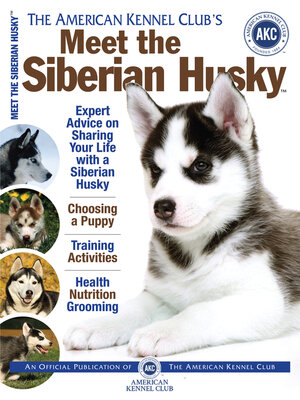 cover image of Meet the Siberian Husky